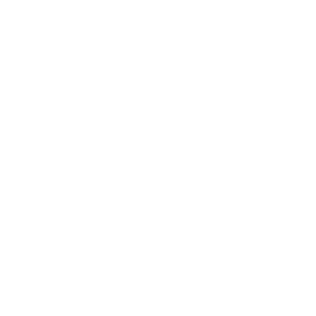 MASCtoys